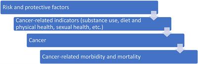 Identification of Cancer Related Risk and Protective Factors for American Indian Youth: A Mixed Studies Review